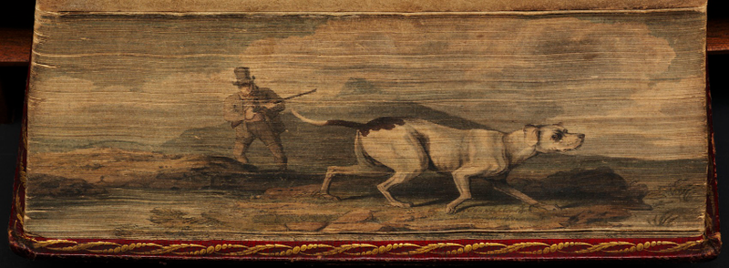 Illustration for article titled Fore-Edge Paintings: The Secret Works of Art Hidden Inside Book Pages